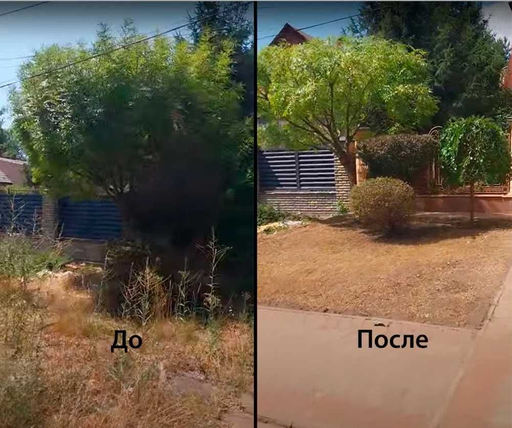 Комплексная уборка участков — покос травы, спил деревьев, вывоз.