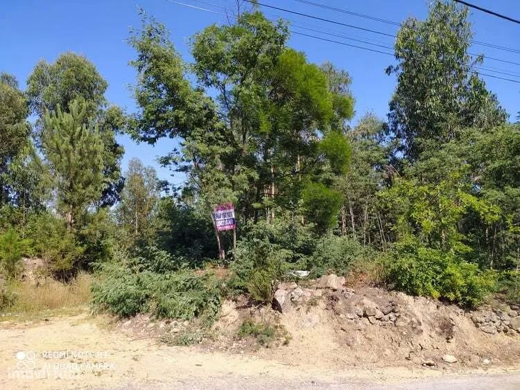 Terreno em Carregosa, Oliveira de Azeméis