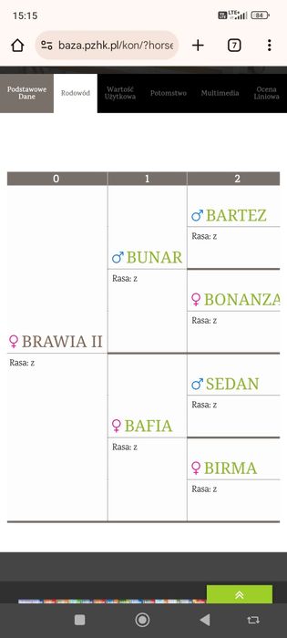 Klacz zimnokrwista księga główna