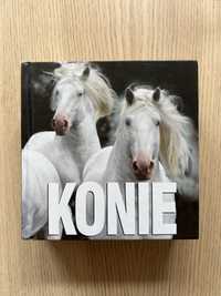 Album KONIE Pascal