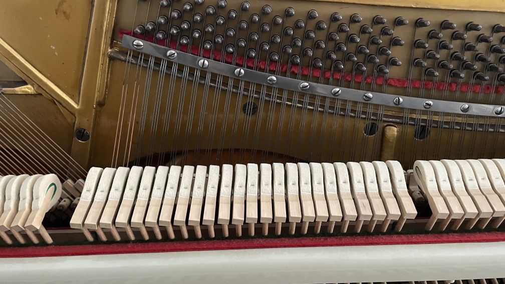 Piano Vertical Acústico em Ótimo Estado e Afinado