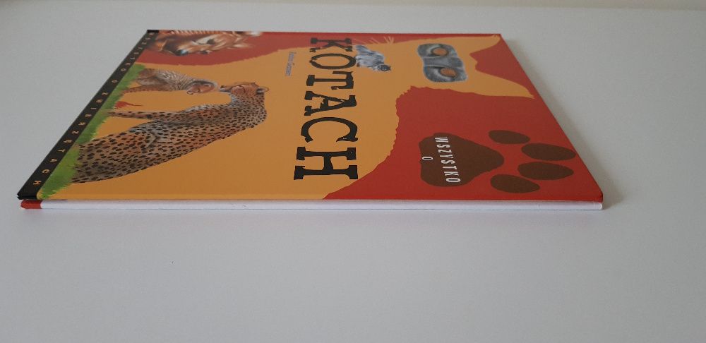 Wszystko o kotach Anita Ganeri
