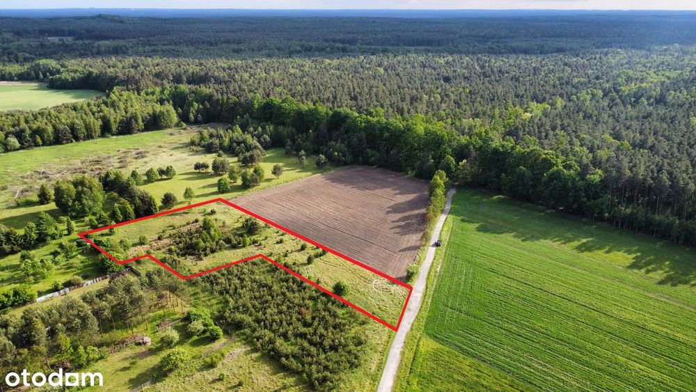 Idealna do podziału !! Objęta MPZP! W CAŁOŚCI BUDOWLANA !!