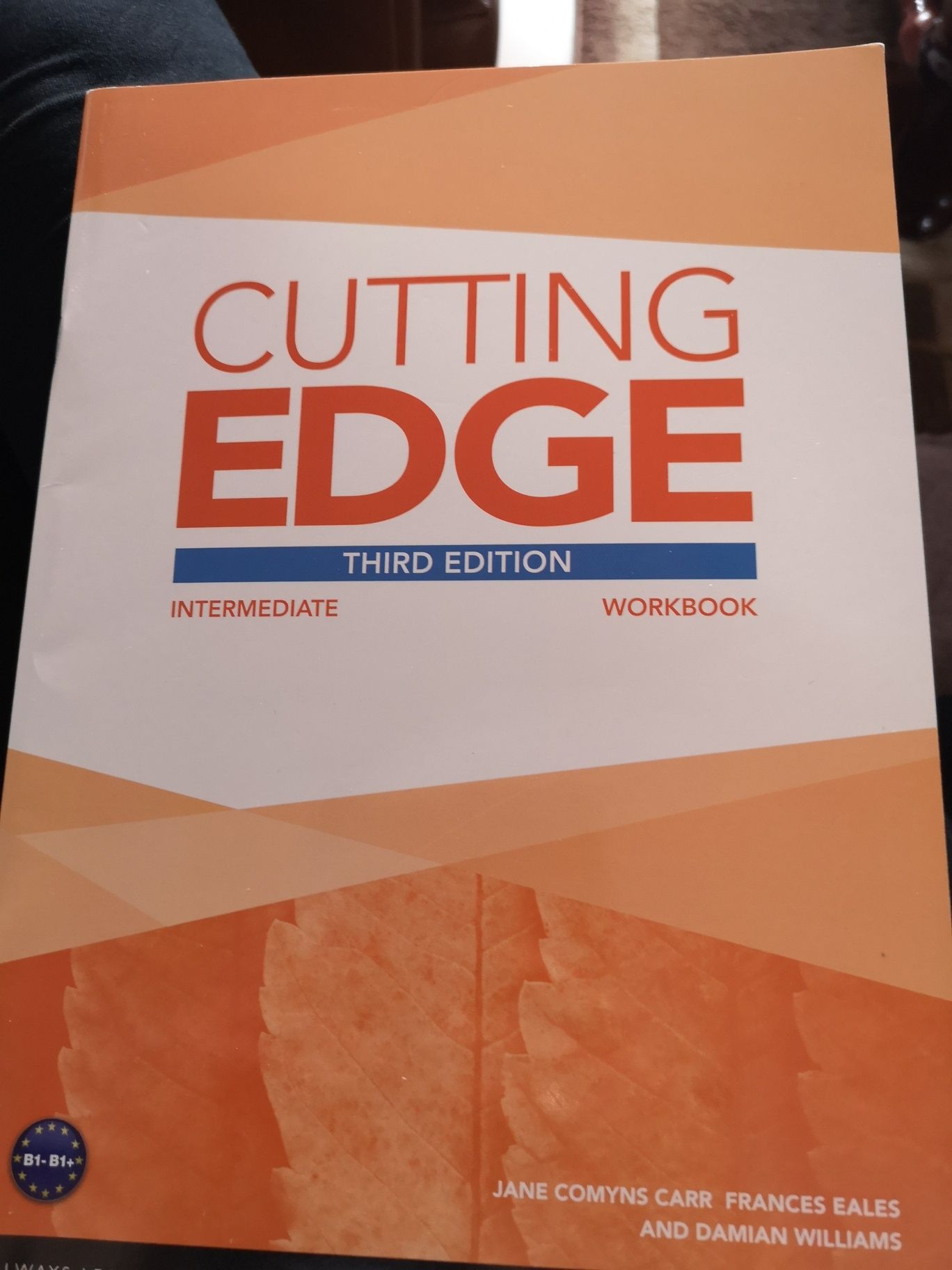 Cutting edge third edition workbook