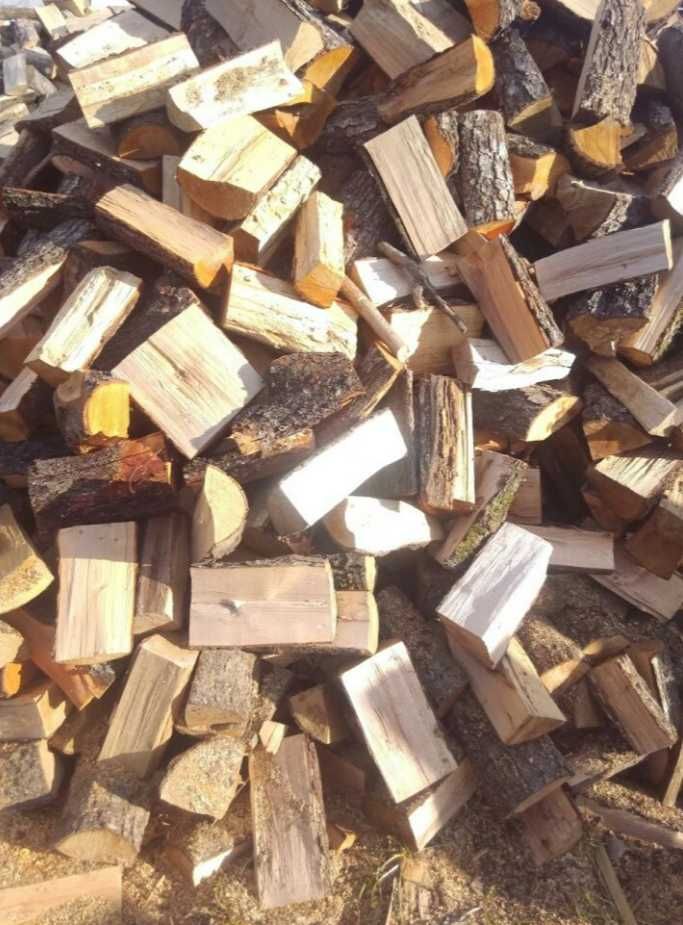 Drewno opałowe rozpałka gratis