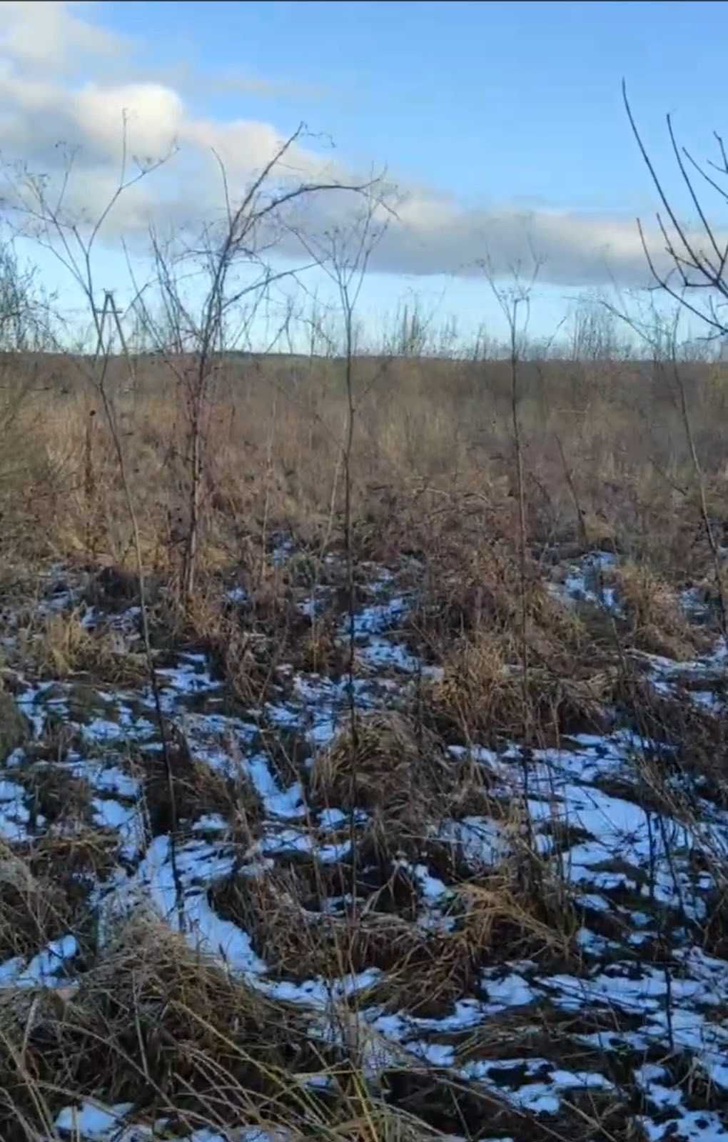 Старі Безрадичі. Обухів. р-н. Ділянка 83сот.у мальовничому місці.