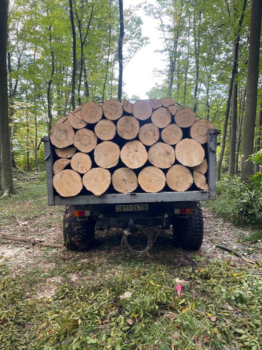 Продам дрова паливні твердої породи