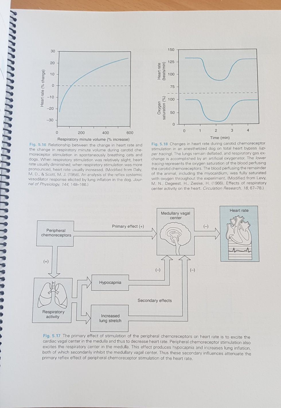 Mosby Physiology Endocrine and Reproductive, Renal e Cardiovascular