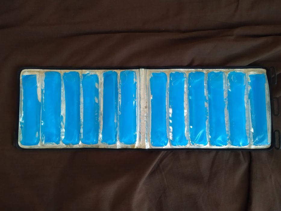 Lodówka turystyczna