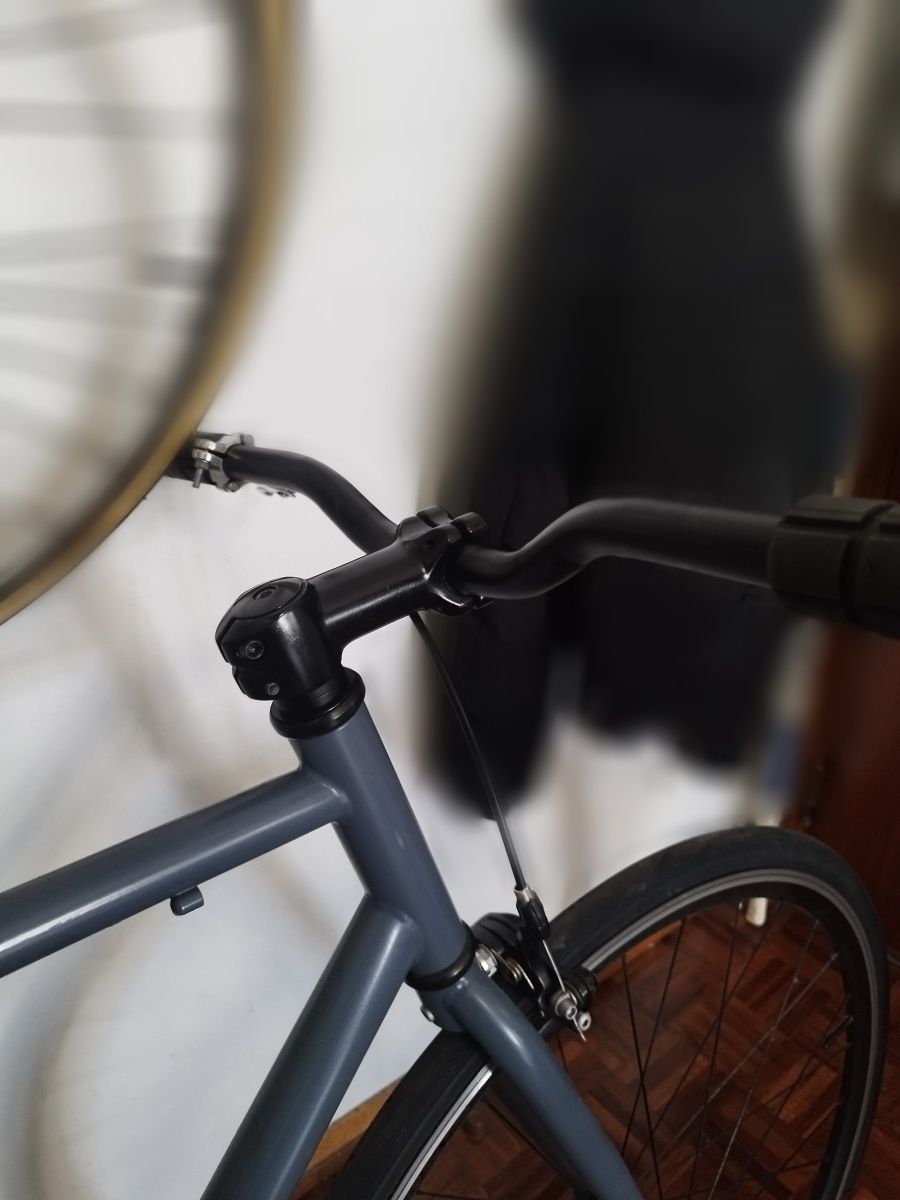 bicicleta single speed/fixie