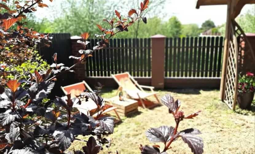 Pokoje do wynajęcia Grzybowo