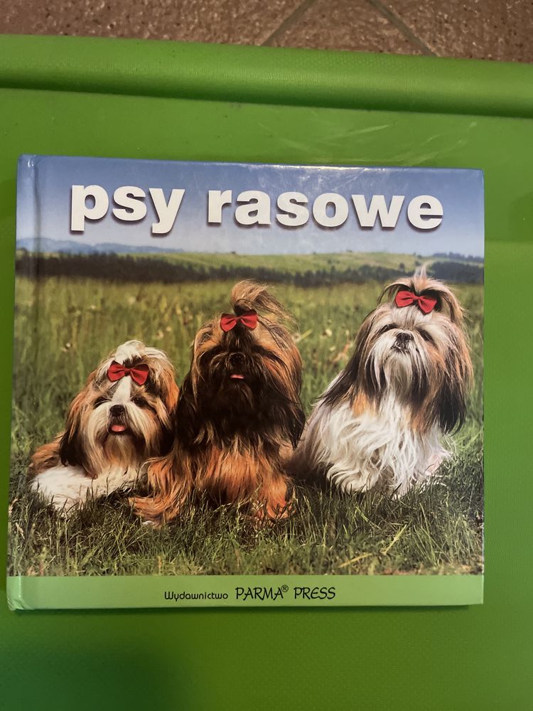 Książka Psy rasowe