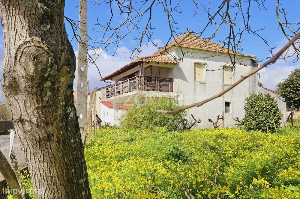 Quinta | 10 hectares | Cernache do Bonjardim