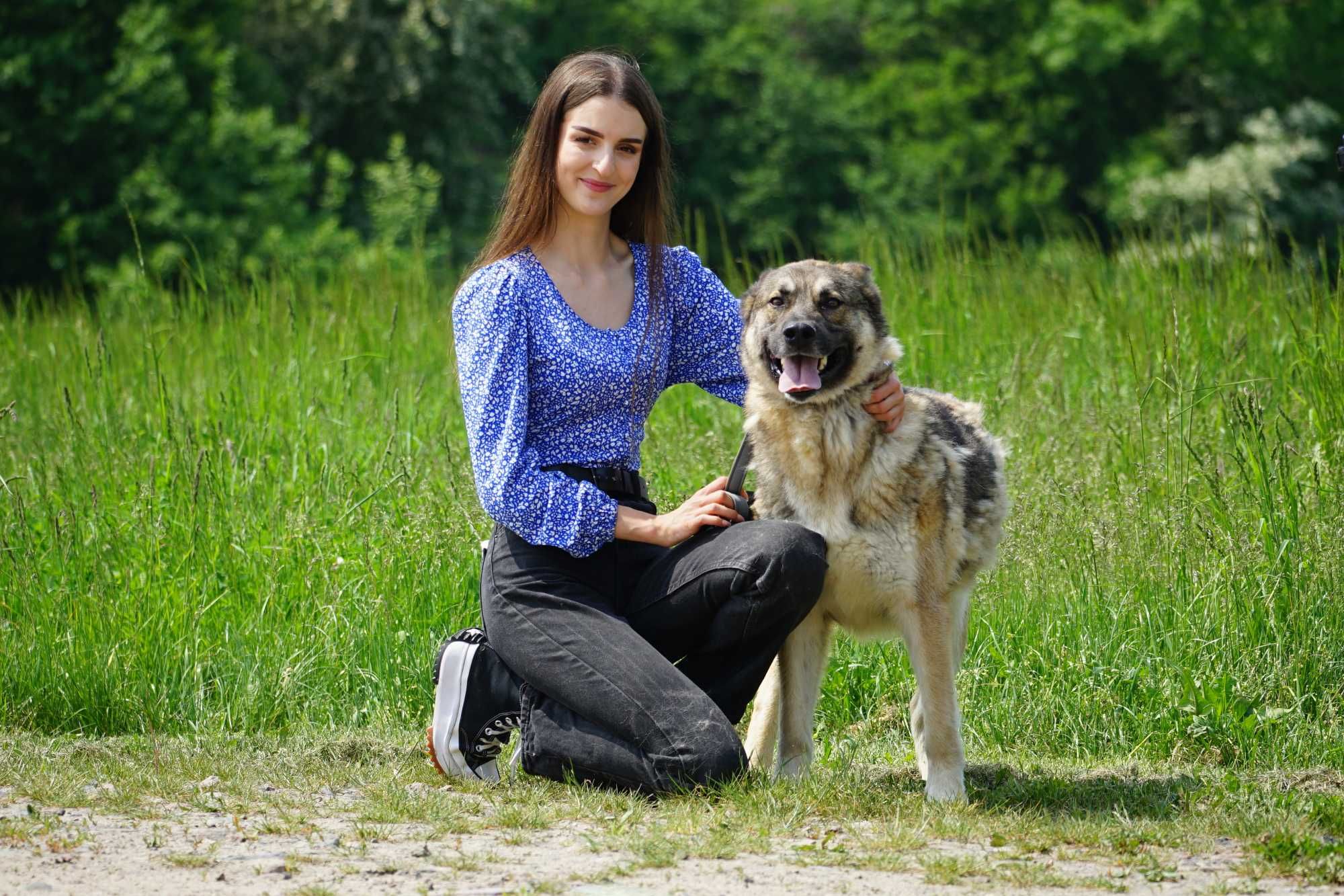 Maroko - super duży psiak szuka domu