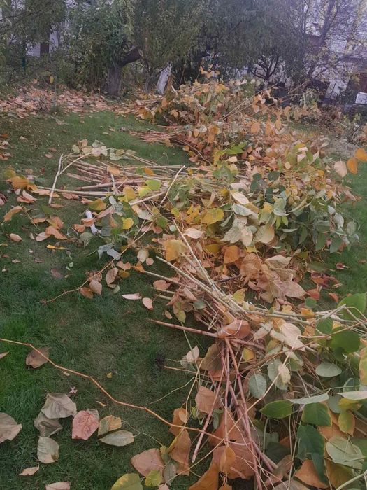 Благоустрий работы на участке  обрезка спил деревьев розчистка корчева