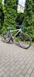 Rower Shockwave Dirt 8