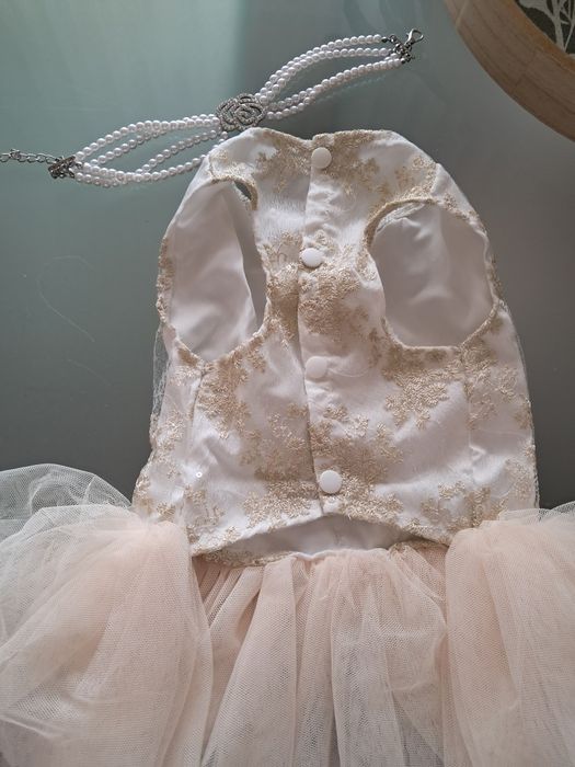 2 Roupinhas de cerimónia para cadelinhas