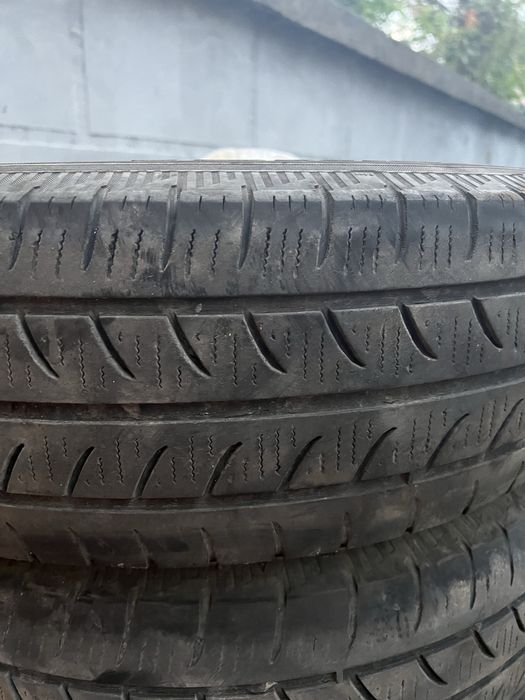 Шини колеса ризина