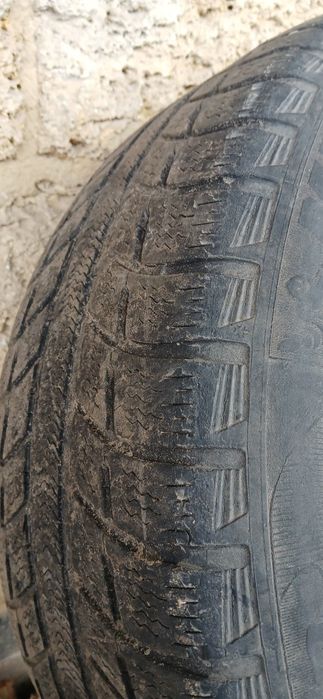 R16. 225×55    зима 1 шт