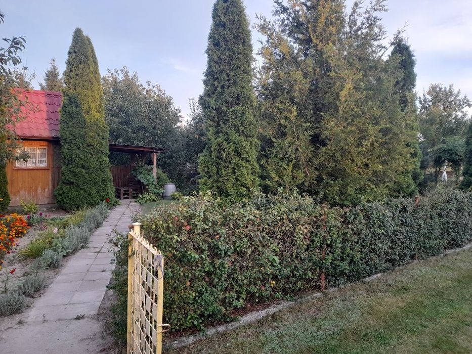 Działka ROD Szarotka