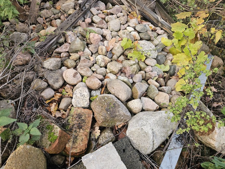 Oddam kamień polny.