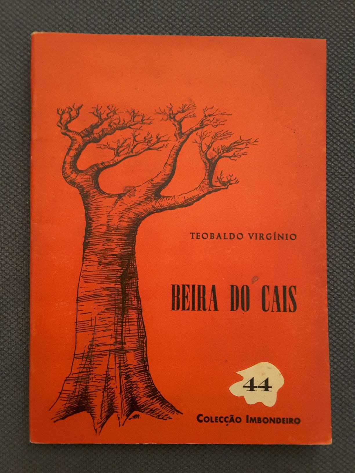 Castro Soromenho/ Mia Couto /Teobaldo Virgínio/ J. Paulo Borges Coelho