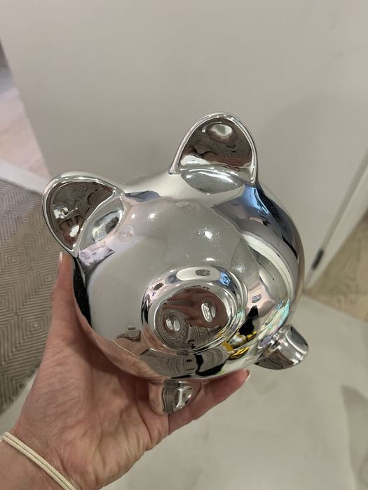 Skarbonka stebrna tkmaxx