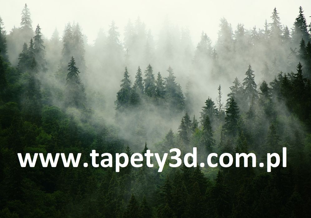 Tapeta, fototapeta : Dinozaury 3D. Różne rozmiary