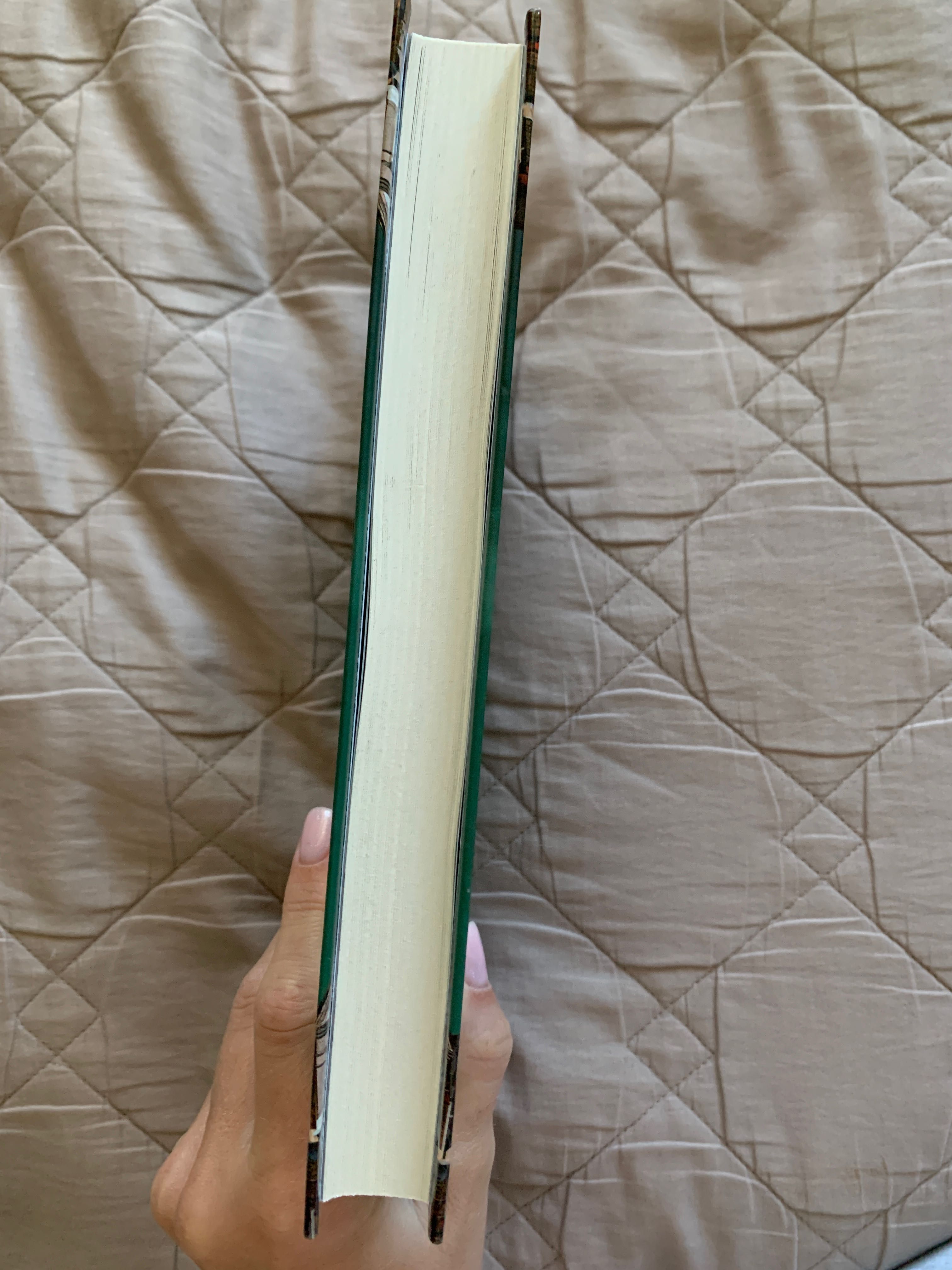 Книжка «Ніщо з цього не правда»