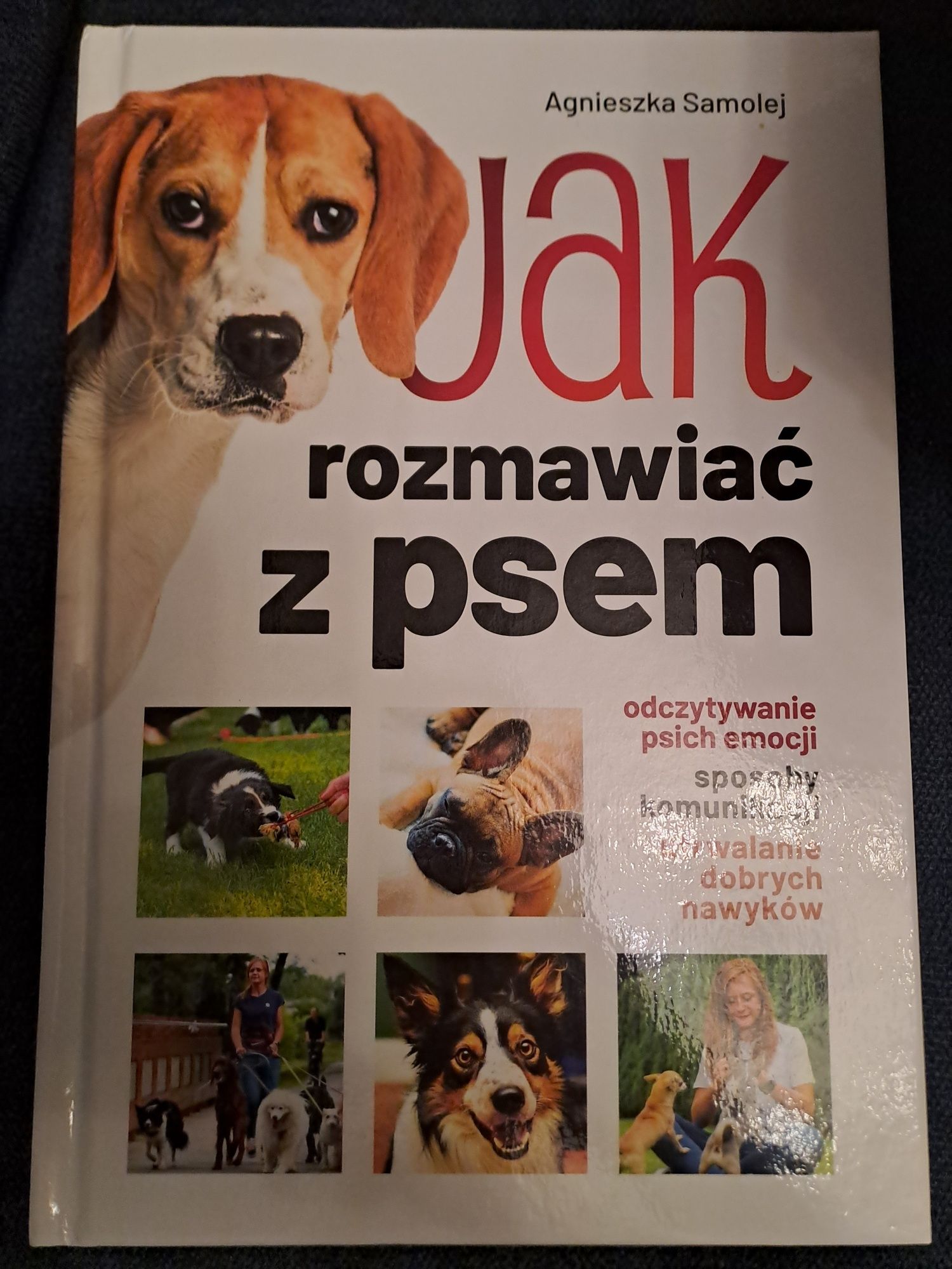 Jak rozmawiać z psem