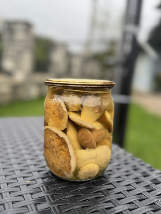 Гриби білі сушені та мариновані 2025 , опеньки