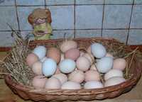 Zdrowe wiejskie jaja