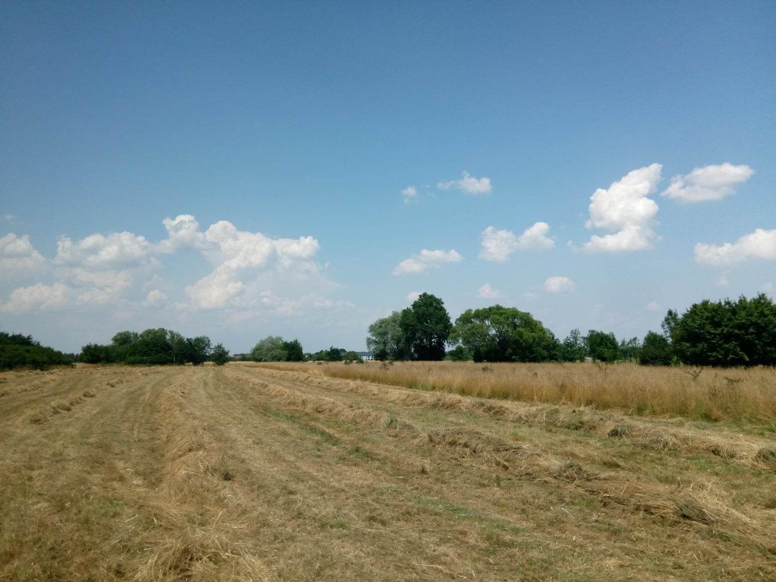 Działka rolna pole Niepołomice ul. Suszówka szkoła jazy