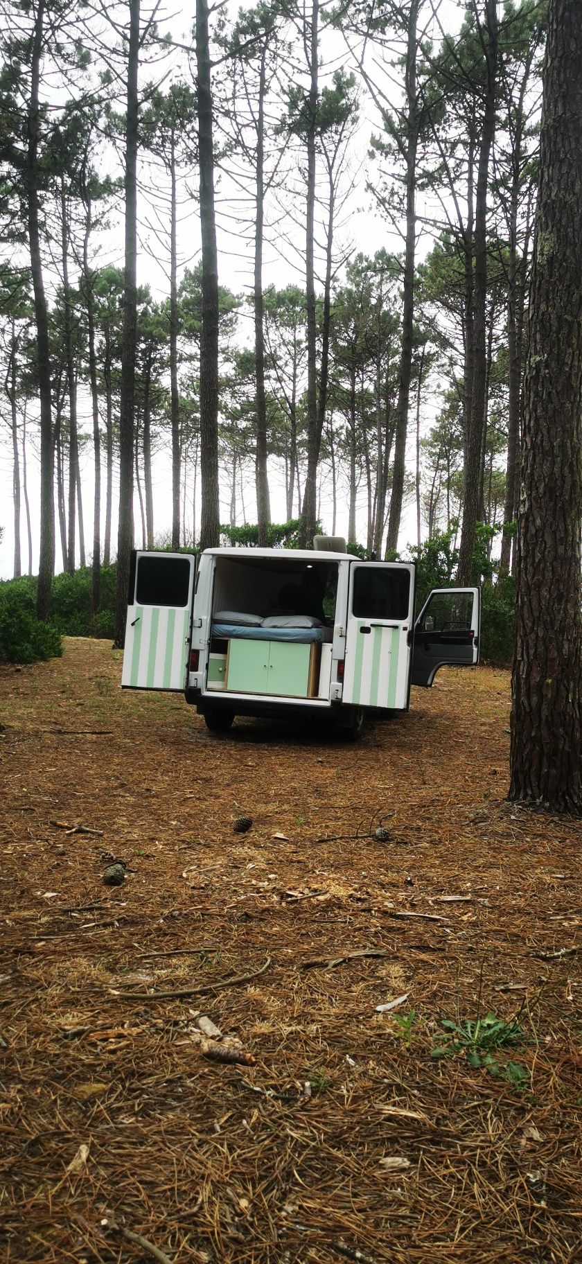 Vendo Campervan Mercedes Benz LEGALIZADA