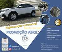 Higienização automóvel