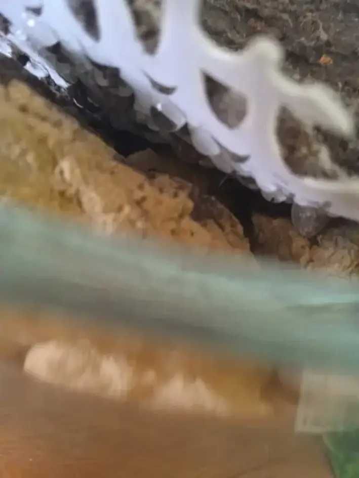 OgROaRrIuM WIELOKRZAK3 ekosystem