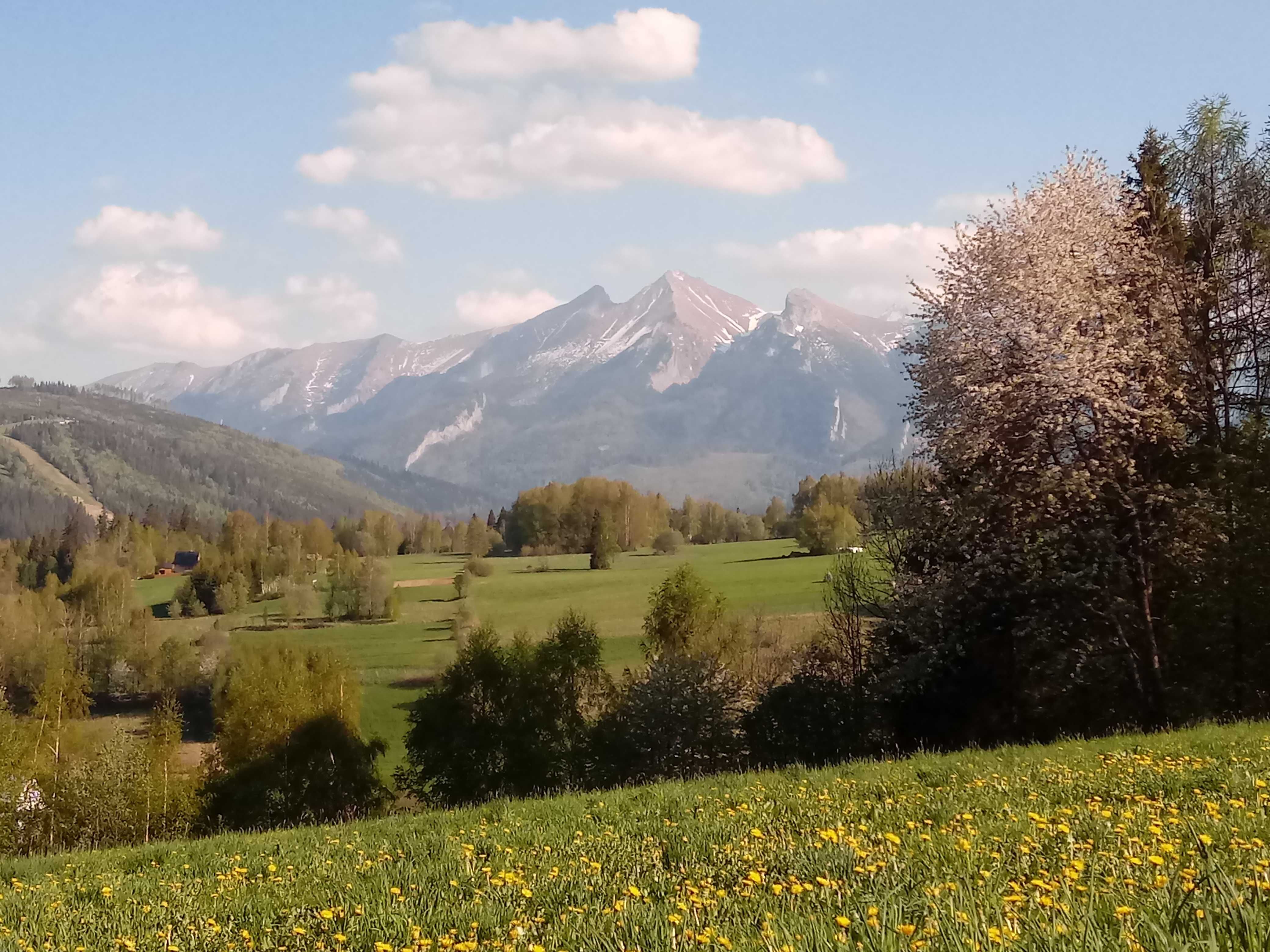 Dom Pod Lipą/Apartament 6-9os TATRY, Bukowina, Białka Tatrz.