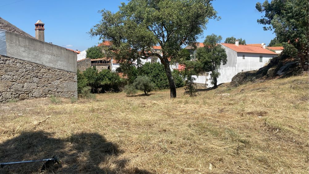 Limpezas de terrenos