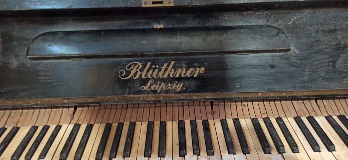 Піаніно Bluthner