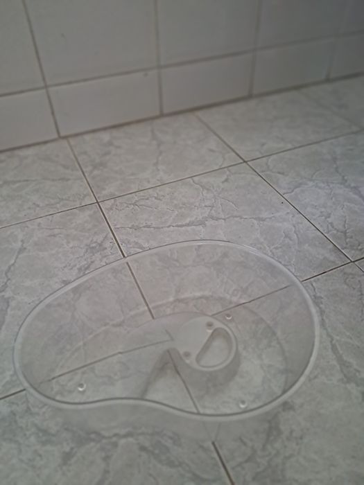 Aquário  para tartaruga