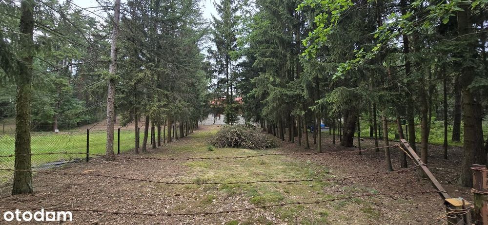 Działka Wrzosów, Gmina Jedlnia Letnisko