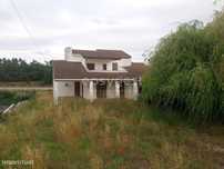 Moradia T5 com 3 pisos e terreno de 2561 m2 situada em Cantanhede