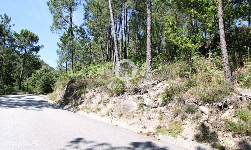 Terreno rustico com 2.650m2 em Terras do Bouro