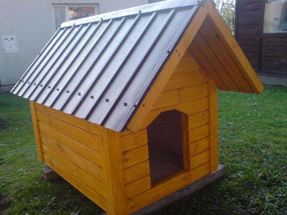 Buda dla psa srednia