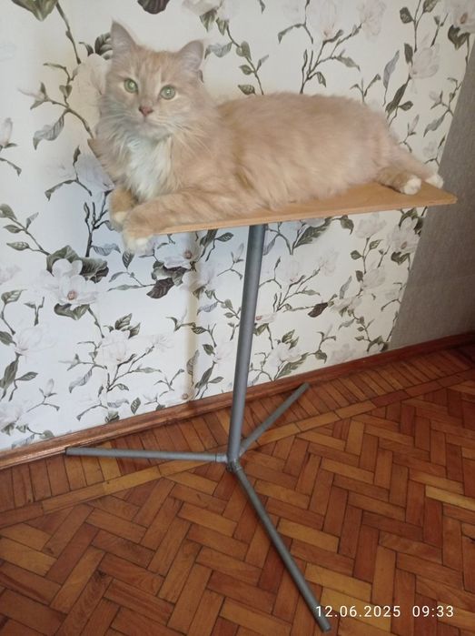 Столик- подставка универсальный