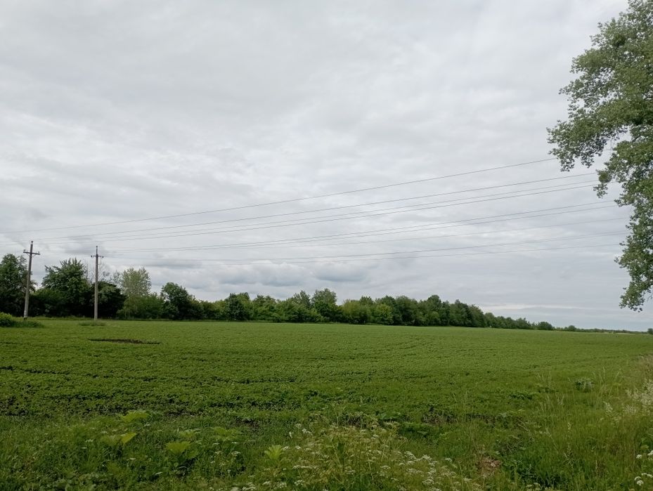 Земельна ділянка під будівництво