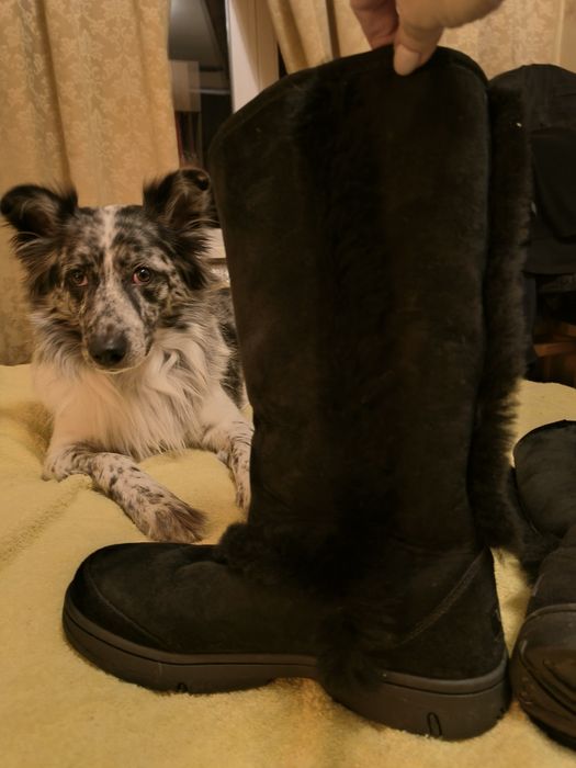 UGG caпоги 26см по стельке