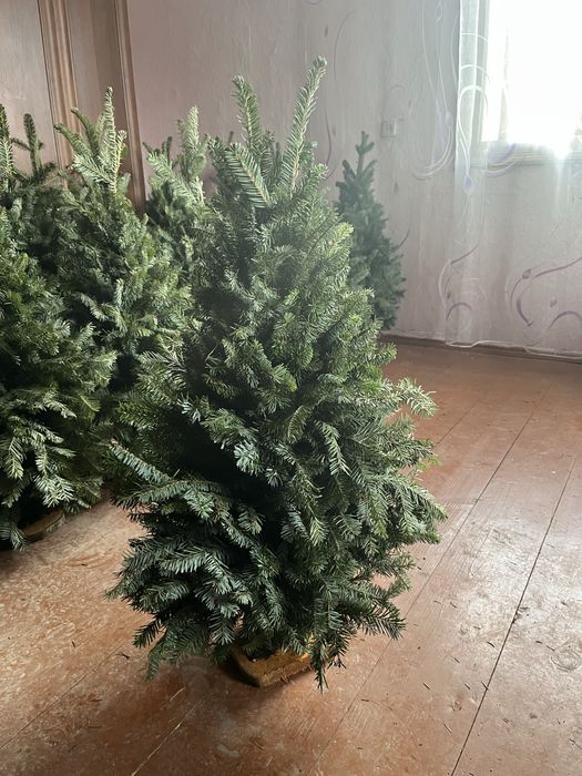 Продам ялинки плетені опт