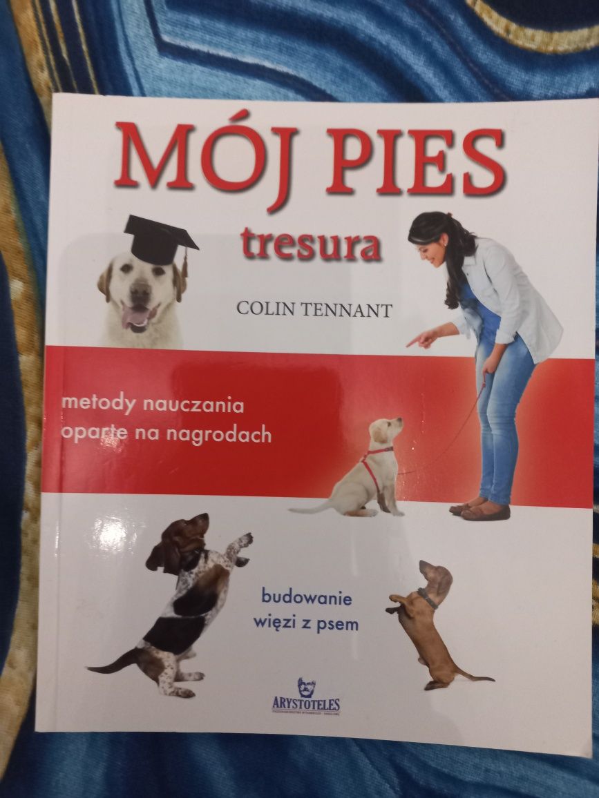 Mój pies tresura