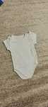 Body handmade 80 Dino Dini